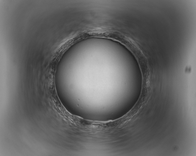X0000115631350200911101428