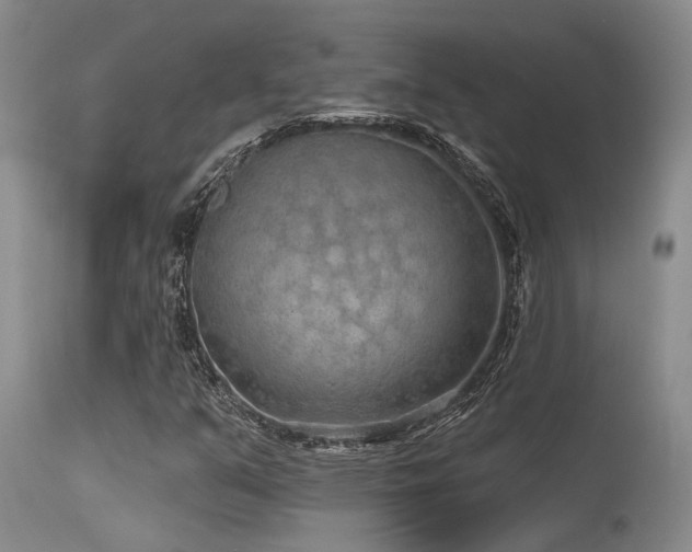 X0000115631351200911101428