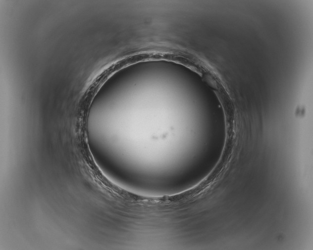 X0000115631352200911101428