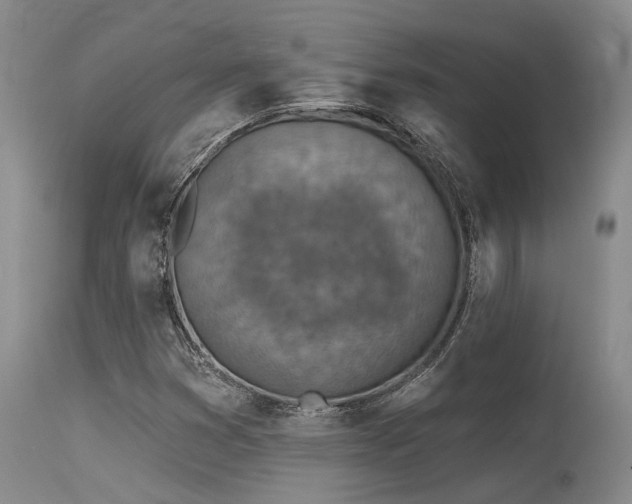 X0000115631353200911101428