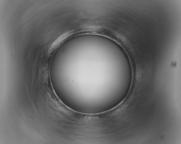 X0000115631354200911101428