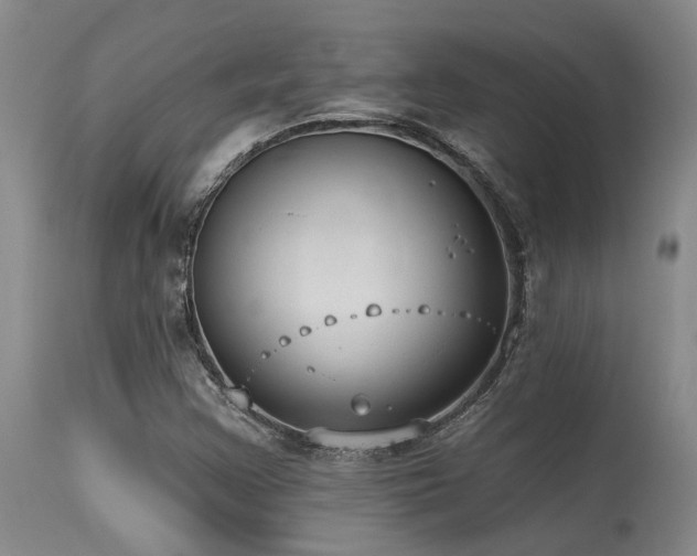 X0000115631355200911101428