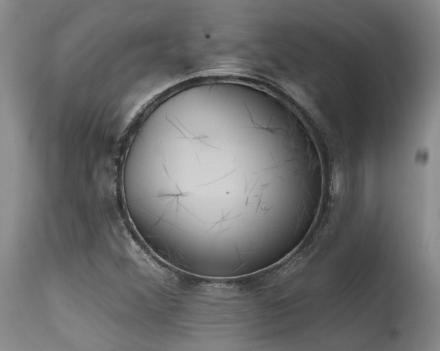 X0000115631356200911101428