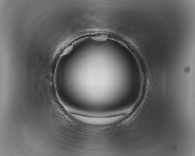 X0000115631357200911101428