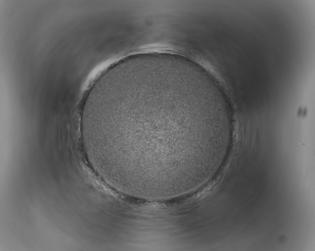 X0000115631358200911101428