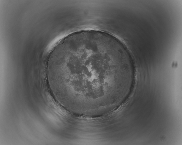 X0000115631359200911101428