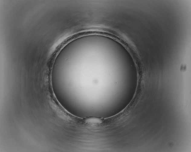 X0000115631360200911101428
