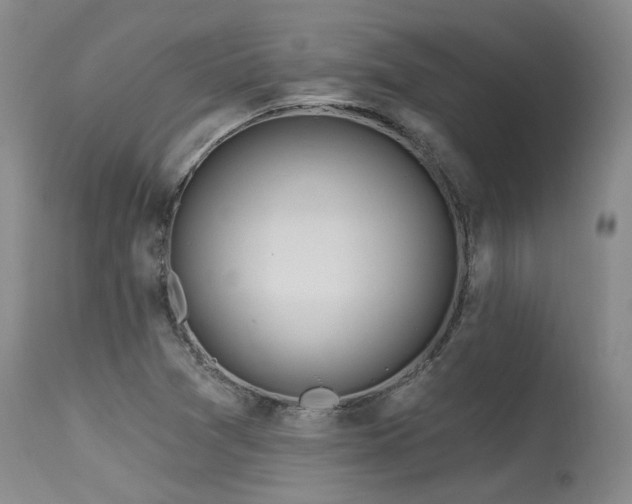 X0000115631361200911101428