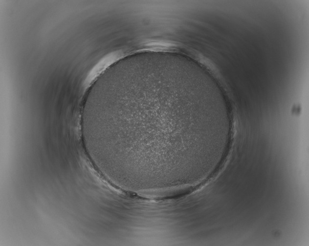 X0000115631362200911101428
