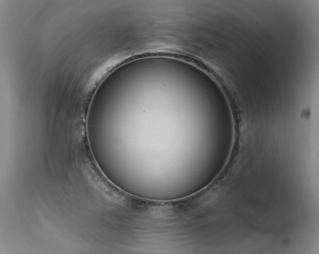 X0000115631363200911101428