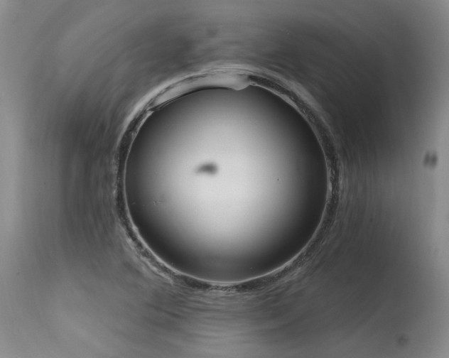 X0000115631364200911101428