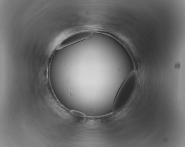 X0000115631365200911101428