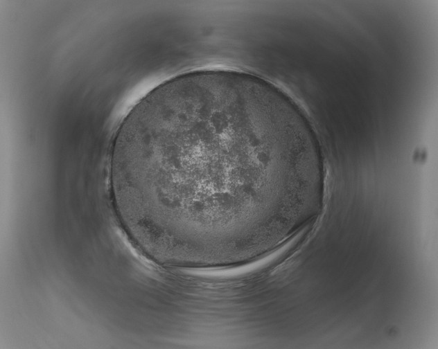 X0000115631367200911101428