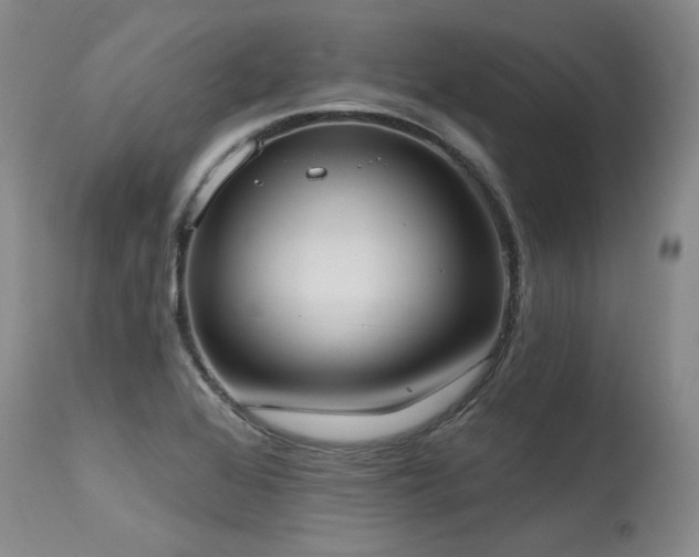 X0000115631368200911101428