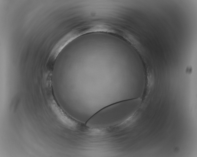 X0000115631369200911101428
