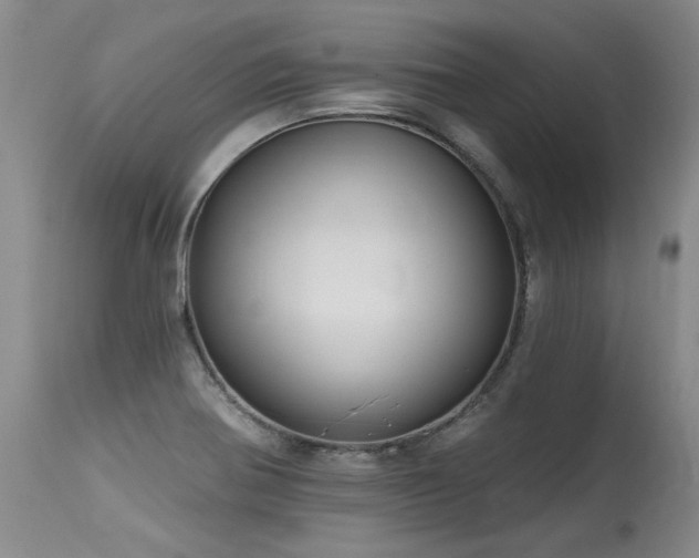 X0000115631370200911101428