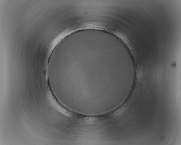 X0000115631371200911101428