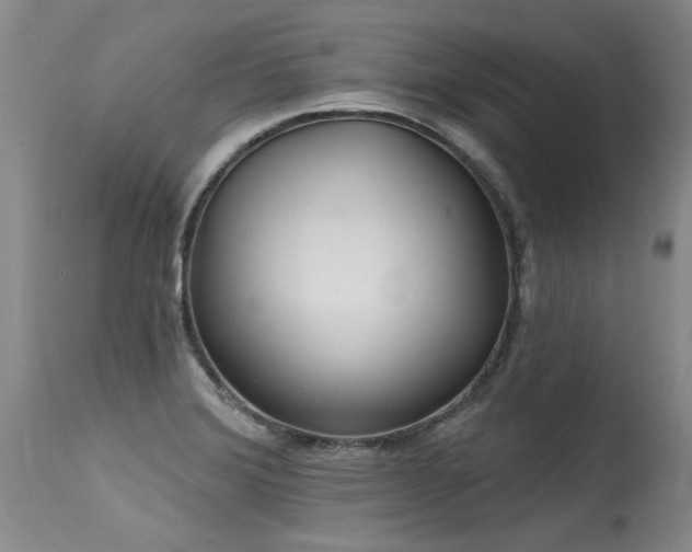 X0000115631372200911101428