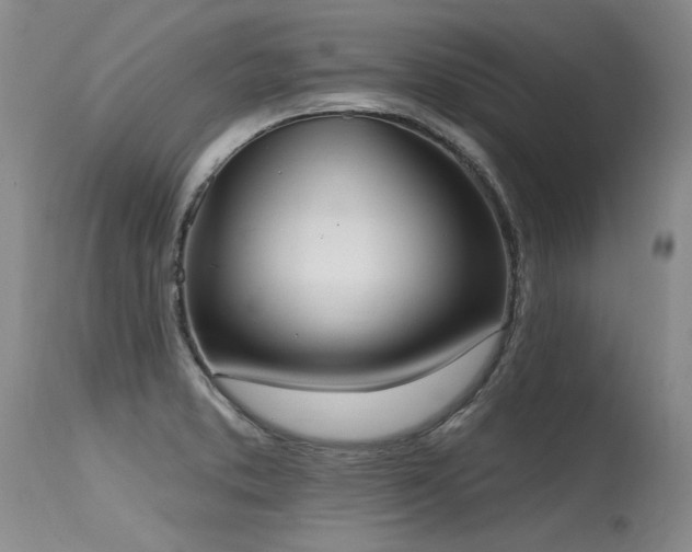 X0000115631373200911101428