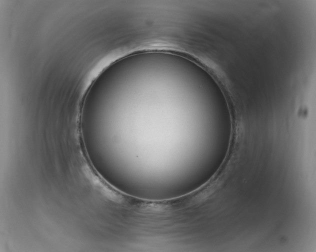 X0000115631374200911101428