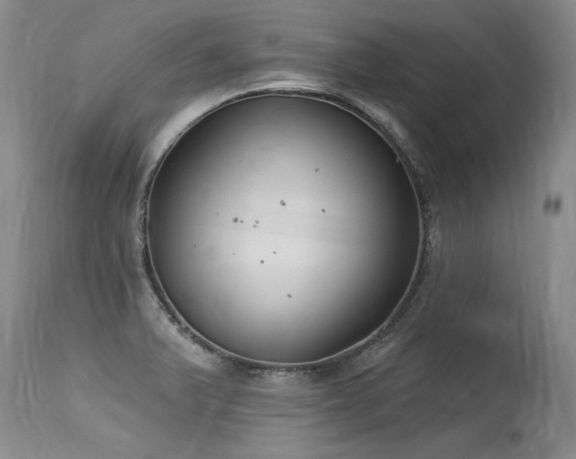 X0000115631375200911101428