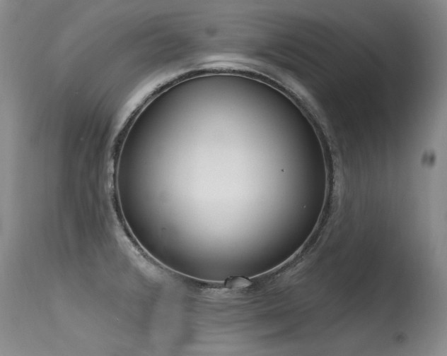 X0000115631376200911101428