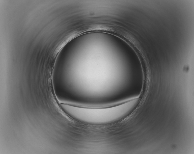 X0000115631377200911101428