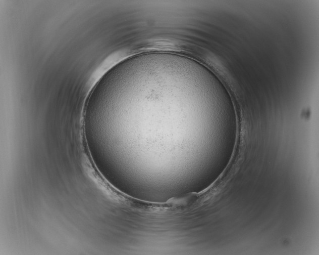 X0000115631378200911101428