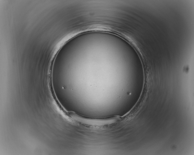 X0000115631379200911101428