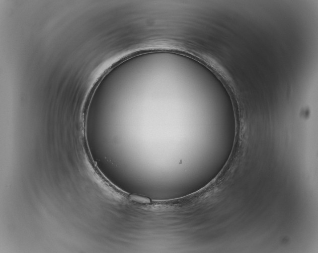 X0000115631380200911101428