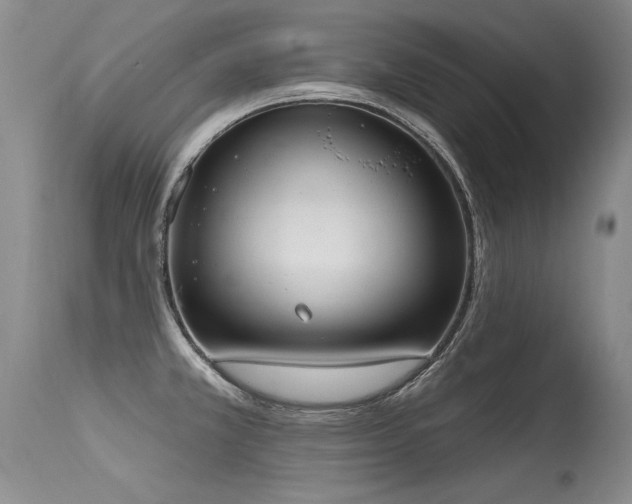 X0000115631381200911101428