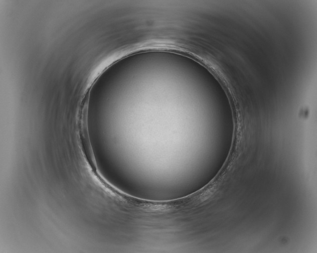 X0000115631382200911101428