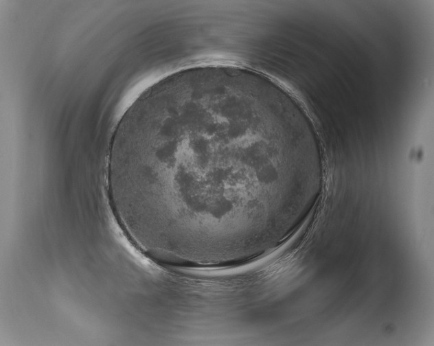 X0000115631383200911101428