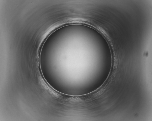 X0000115631384200911101428