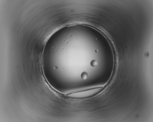 X0000115631385200911101428