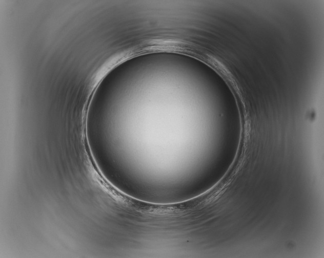 X0000115631386200911101428