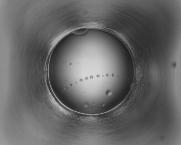X0000115631387200911101428