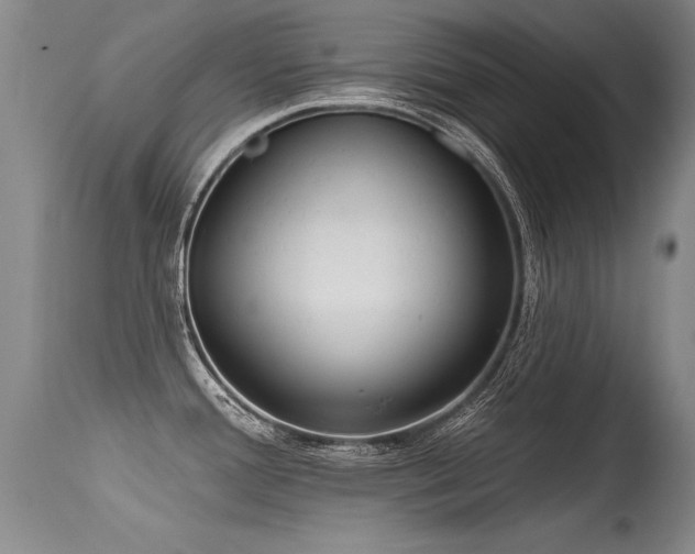 X0000115631388200911101428