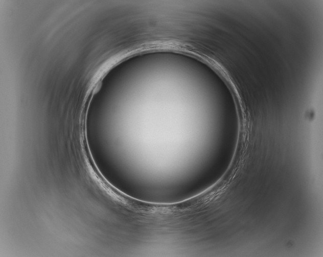 X0000115631389200911101428