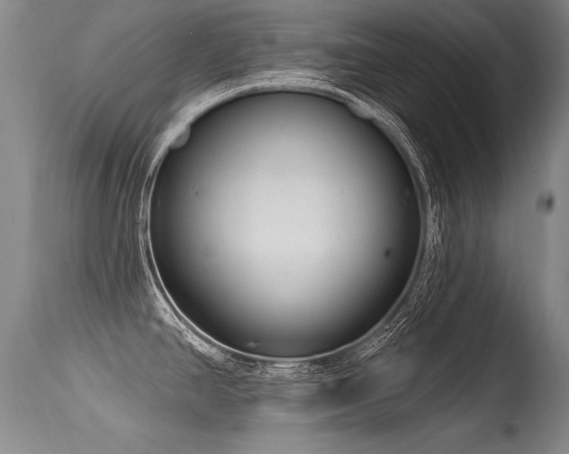 X0000115631390200911101428