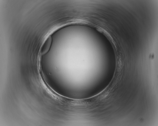 X0000115631391200911101428