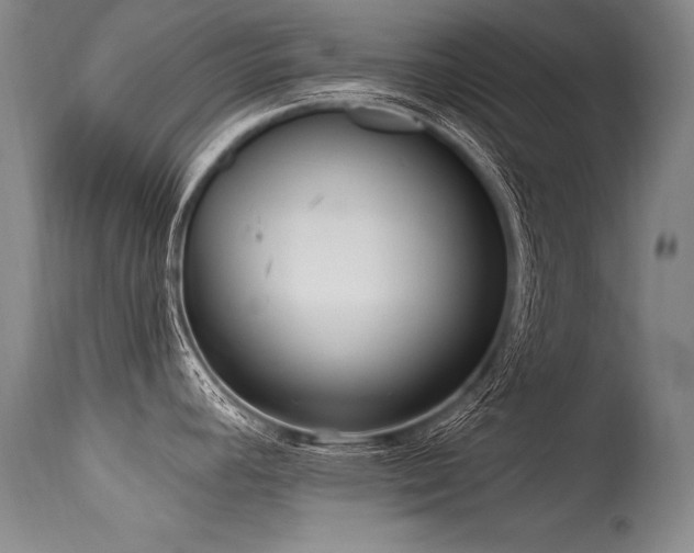 X0000115631392200911101428