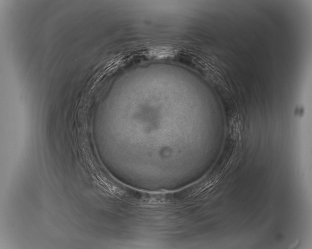 X0000115631393200911101427
