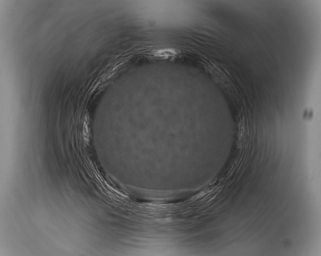 X0000115631394200911101427
