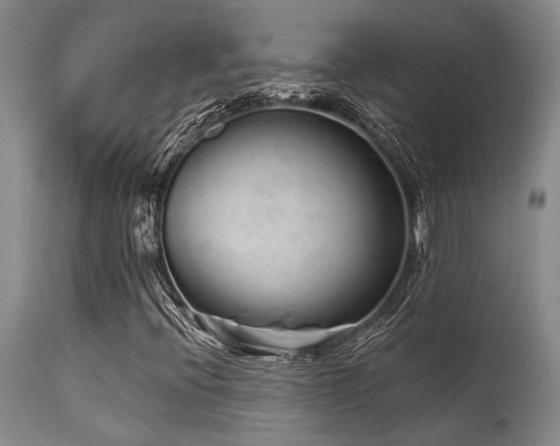 X0000115631396200911101427