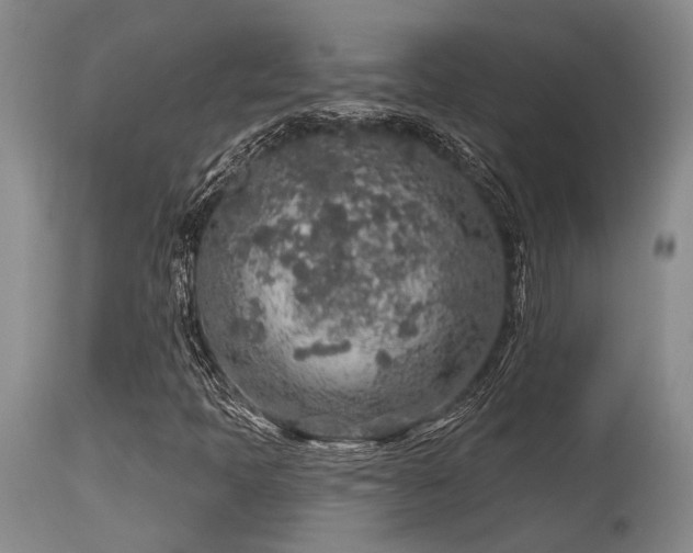 X0000115631397200911101427