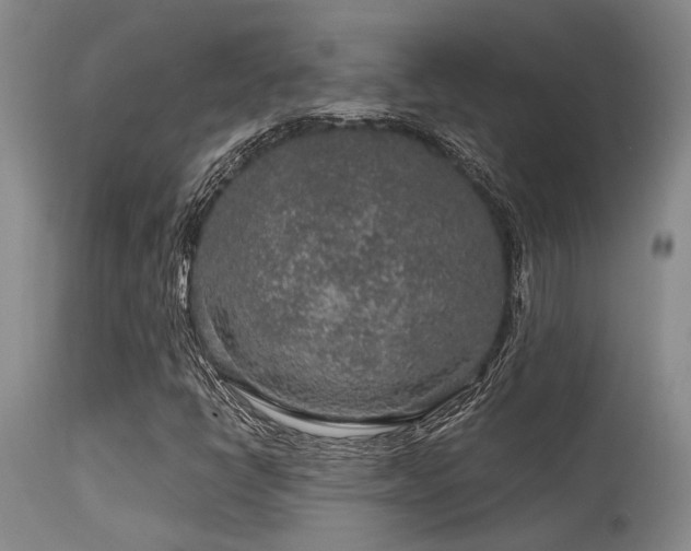X0000115631398200911101427