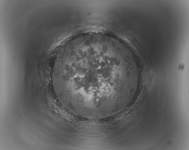 X0000115631399200911101427