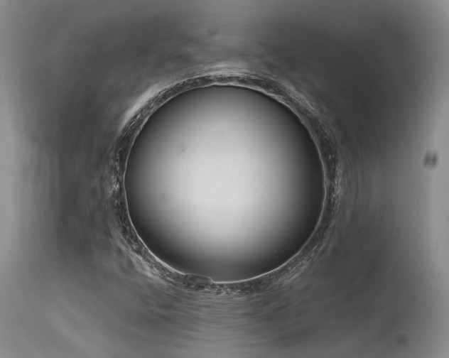 X0000115631400200911101427