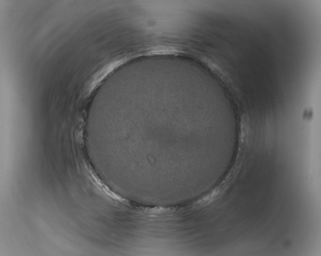 X0000115631401200911101427